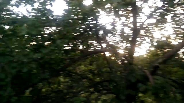 Веселый сад 6 серия подводим итоги июля 2017 смотреть онлайн