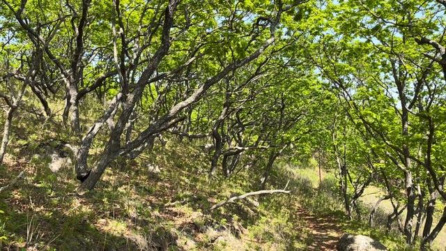 Мыс ЛИСУЧЕНКО | Один из красивейших в Приморском крае смотреть онлайн