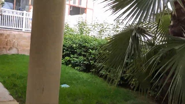 swandor palace немного территории смотреть онлайн