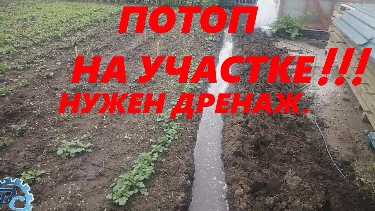 Потоп на участке. Нужен дренаж на участке #дождь #дренаж #колодец #грунтоваявода #чтоделать?
