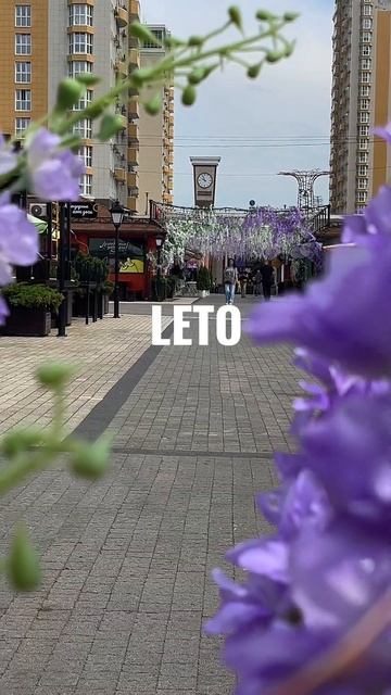 Есть все, что хочешь! Приходите на Foodmarket, Краснодар!