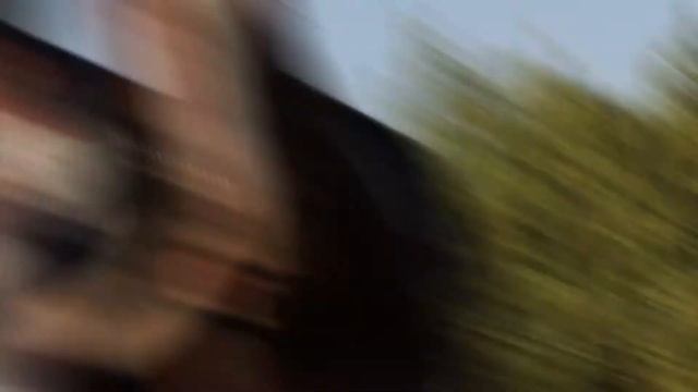 Свадебный ролик 1 минута Прогулка молодых смотреть онлайн