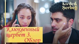 Клюквенный щербет 3 сезон. Обзор первых серий (1)