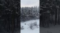 Что же делать?