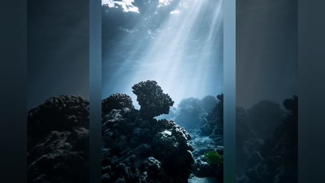 Красивая спокойная расслабляющая музыка. Meilleure Musique pour soulager la Fatigue. смотреть онлайн