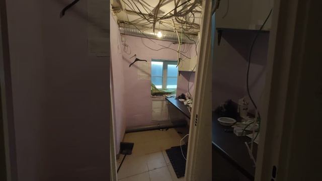 Медиков проспект, 5, помещение кафе смотреть онлайн