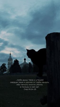 Люби душу твою и утешай сердце твое...