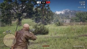 Лучшее оружие в RDO