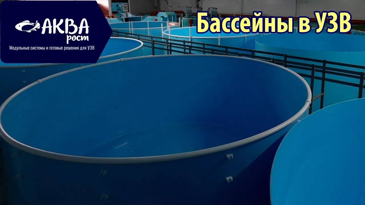 Какие делать бассейны в УЗВ #система #узв #рыба #акварост #форель #бассейн смотреть онлайн