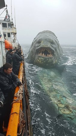 Встреча с огромной морской хищной рептилией в открытом море