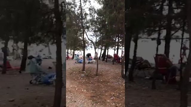 Абхазия пляж Лдзаа - лучший пляж в Пицунде