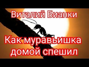 Как муравьишка домой спешил.Виталий Бианки. Рассказ с картинками.