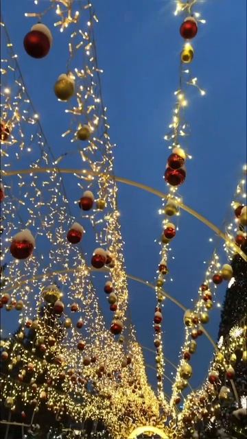 Барнаул-Бердск-Новосибирск #новогодниеканикулы смотреть онлайн