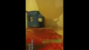 Поилка для голубей на 5 литров. | Товары для голубей