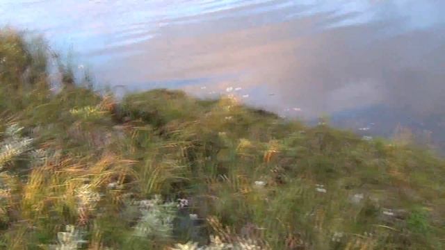 7Был один глубокий брод смотреть онлайн