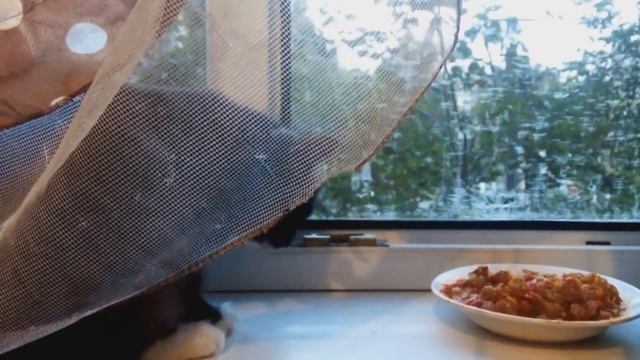 Маруся дегустатор смотреть онлайн