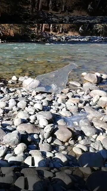 Реки, горы, терьерка! смотреть онлайн