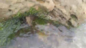 Крым. село Песчаное, Бахчисарайский район, ДОЛ Казакевич