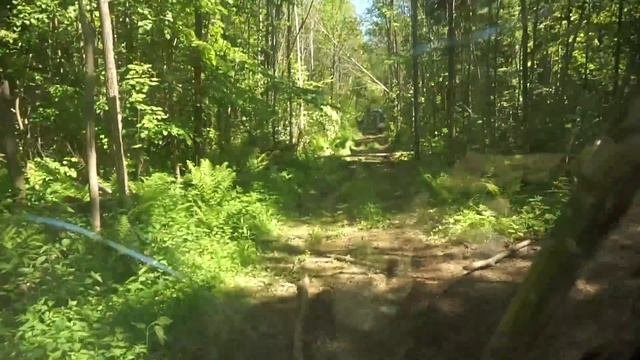 Отправились на бездорожье на буханке! Оставили буханку в лесу!