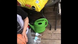Water Bottle Bowling