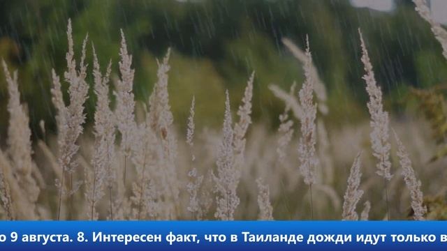 18 интересных фактов о дожде/ 18 Interesting Facts About Rain смотреть онлайн
