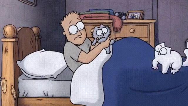 Типичное утро кошатника