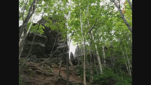 На Сахалинской Лягушке летом. Фото.mp4