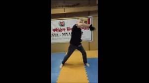 Шан Ги. Ускоренная подготовка. Базовые комбинации. Часть 1.