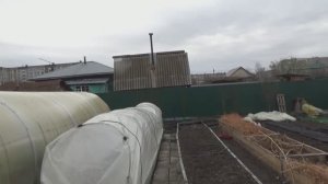 Замерзли ли мои Томатные Гномы при морозе минус 5? Я пока не знаю! Обзор погоды и огорода 21 апреля