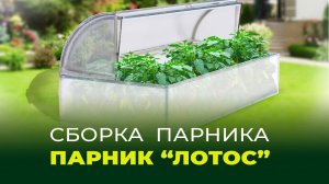 Сборка парника "Лотос" от компании "Воля"