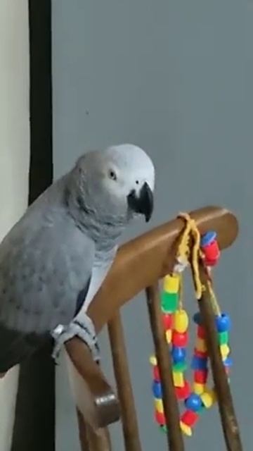 Шутит над мамой... смотреть онлайн