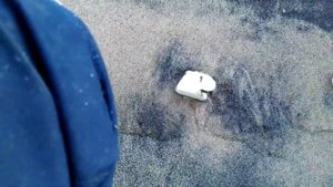 Авва губа 2020...