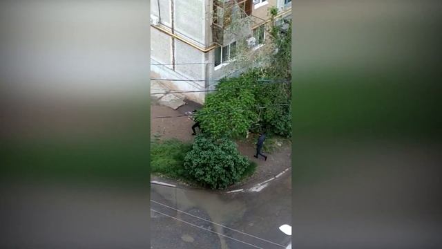«Случилась перестрелка, смотреть на этот ужас очень страшно», - волжанка смотреть онлайн