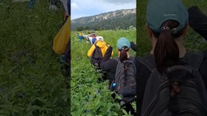 Курджипские водопады 07.07.2024