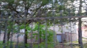 Прогулка вдоль забора санатория Мечта Евпатория