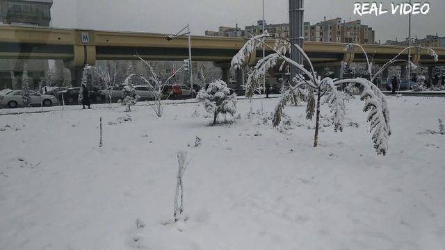 Ташкент - первый снег!!! (Сергели)