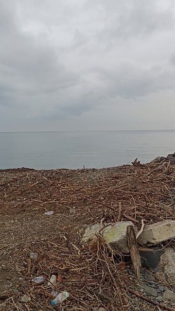 Джубга пляж 04/03/2023 смотреть онлайн