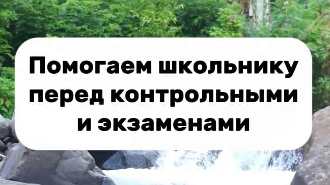 Эффективные рекомендации для помощи школьникам