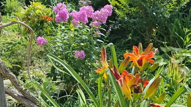 отель Флагман смотреть онлайн