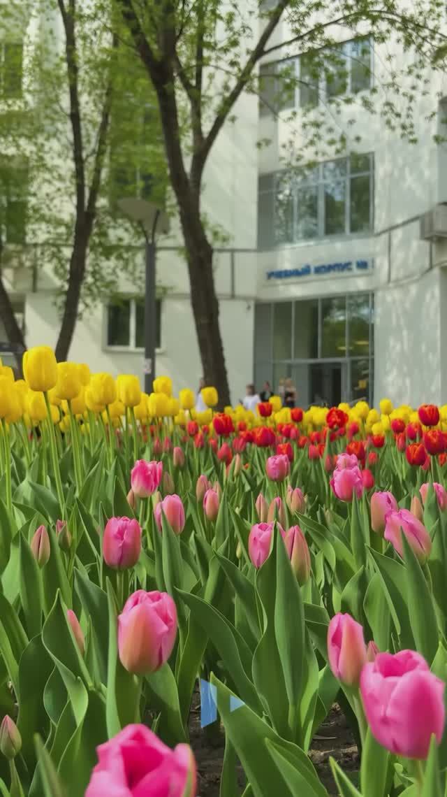 Весна🌺