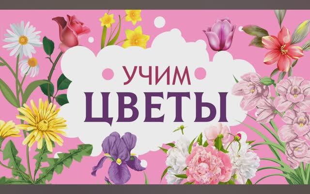 Карточки Домана. Цветы. Глобальное чтение. Учимся говорить.