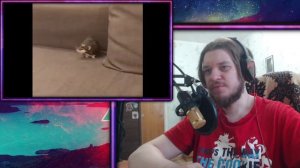 РЕБОРН СМОТРИТ ► UNUSUAL MEMES COMPILATION V121 ► РЕАКЦИЯ НА UnusualVideos