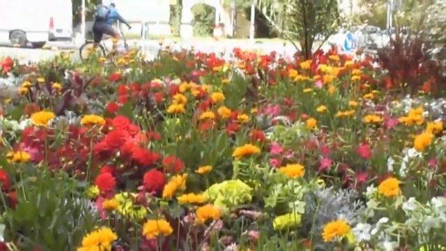Bayern. Stadt Amberg. Der blumige Teil der Stadt. смотреть онлайн