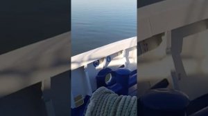 Н.В Гоголь Теплоход