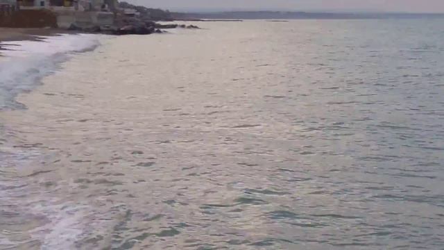 Моржи на пляже. смотреть онлайн