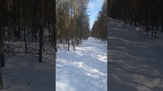 В поисках тока2 смотреть онлайн