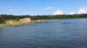 Россия Выборг бухта Дальняя поселок Большой Бор Северное Побережье Финского Залива лета 2024/7533