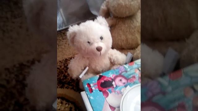 Полiцiя пришла в кафе-ресторан #2 серiя смотреть онлайн