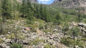 Однодневный пеший поход на высокогорные Куектанарские озера. Алтай.