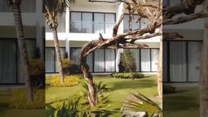 Selectum Noa Resort Cam Ranh 5*/HV1, Вьетнам, Нячанг